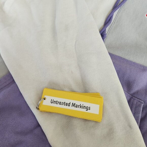 Y2K Champion Uo Exclusive Men's Large Purple Colorblock Hoodie Sweatshirt - Picture 8 of 16